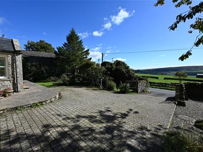 Picture 26